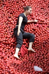 An Apple a day 36 * 5616 x 3744 * (8.24MB)